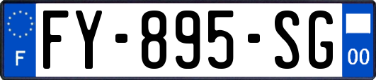 FY-895-SG