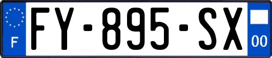 FY-895-SX