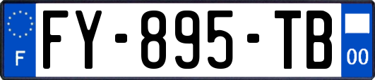 FY-895-TB