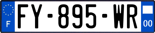 FY-895-WR
