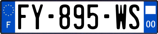 FY-895-WS