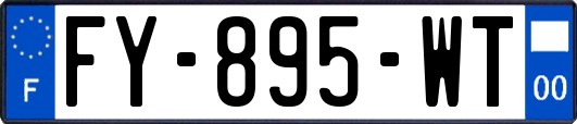 FY-895-WT