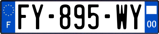 FY-895-WY