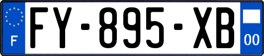 FY-895-XB