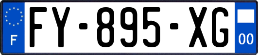 FY-895-XG