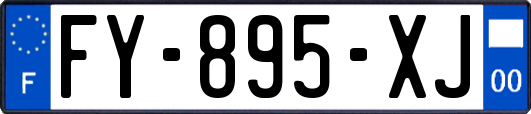 FY-895-XJ