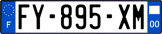 FY-895-XM