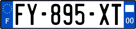 FY-895-XT