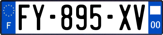 FY-895-XV