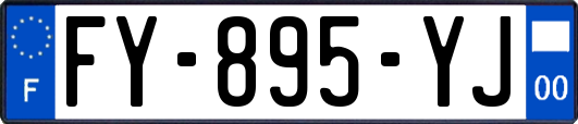 FY-895-YJ