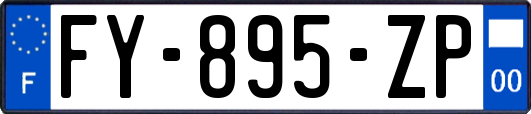 FY-895-ZP