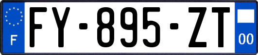 FY-895-ZT