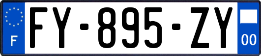 FY-895-ZY