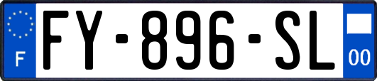 FY-896-SL