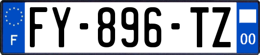 FY-896-TZ
