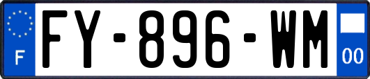 FY-896-WM