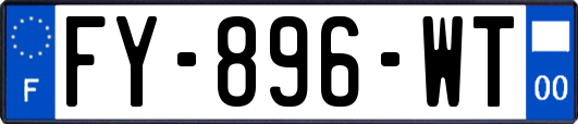 FY-896-WT