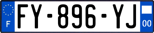 FY-896-YJ
