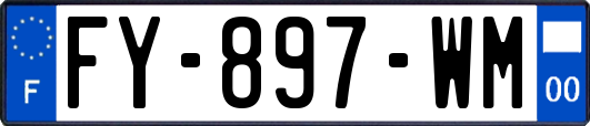 FY-897-WM