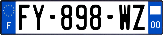 FY-898-WZ