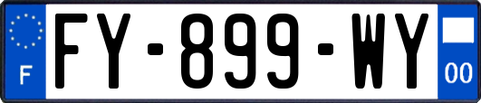 FY-899-WY