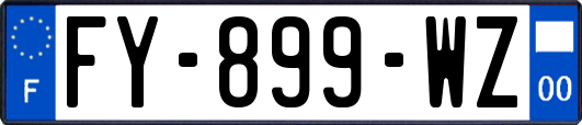 FY-899-WZ