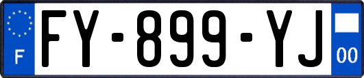FY-899-YJ