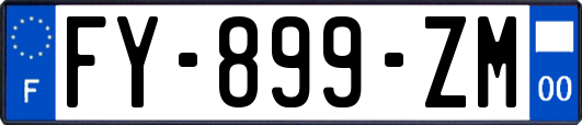 FY-899-ZM