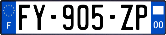 FY-905-ZP