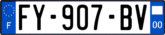FY-907-BV