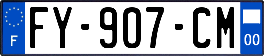FY-907-CM