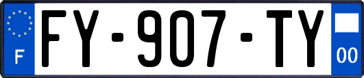 FY-907-TY