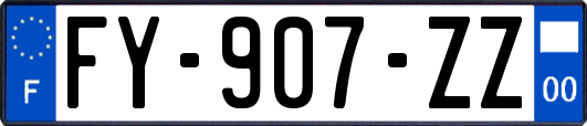 FY-907-ZZ