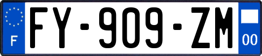 FY-909-ZM