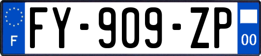 FY-909-ZP