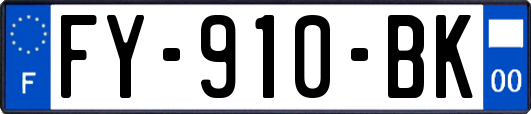 FY-910-BK