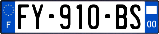 FY-910-BS