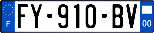 FY-910-BV