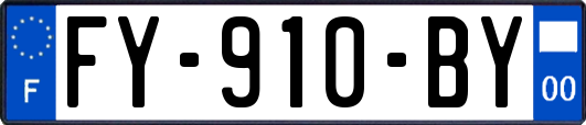 FY-910-BY