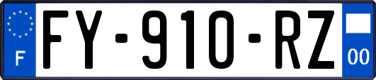 FY-910-RZ