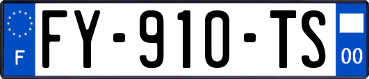 FY-910-TS