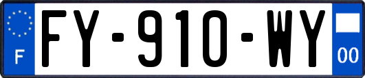 FY-910-WY