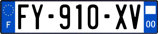 FY-910-XV