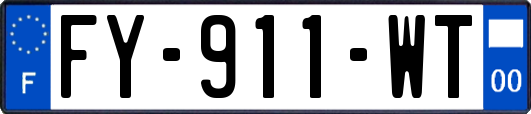 FY-911-WT
