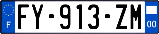 FY-913-ZM