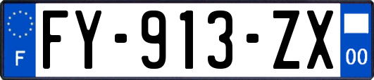FY-913-ZX