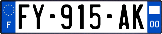 FY-915-AK