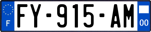 FY-915-AM