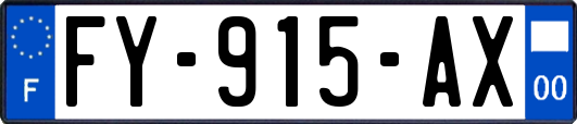 FY-915-AX