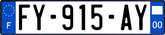 FY-915-AY